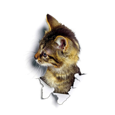 Super Cute Vivid 3D Cat Wall Sticker Toilet Closet Waterproof Removable Kid Room Decoration
Super Cute Vivid 3D Cat Wall Sticker Toilet Closet Waterproof Removable Kid Room Decoration