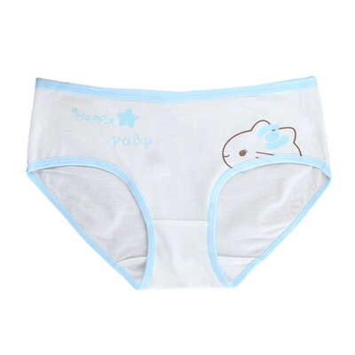 Fashion Kids Panties Girls Briefs Female Child Underwear Ladies Underpanties Children Clothing 9-20T
Fashion Kids Panties Girls Briefs Female Child Underwear Ladies Underpanties Children Clothing 9-20T