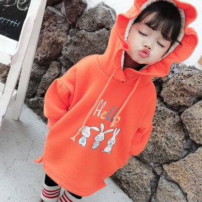1-7T Children Girl Clothes Winter Plus Velvet Baby Girls Cartoon Print Sweater Long Sleeves Casual Hat Collar Sweet Tops
1-7T Children Girl Clothes Winter Plus Velvet Baby Girls Cartoon Print Sweater Long Sleeves Casual Hat Collar Sweet Tops