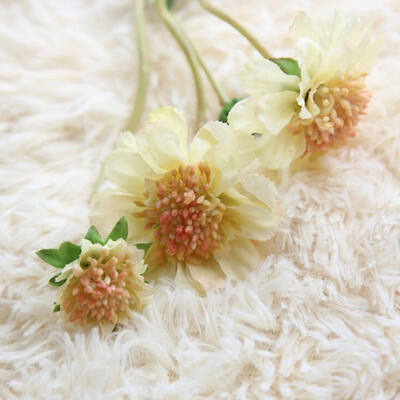 Windmill Blue Gerbera Artificial Flower Home Decoration Wedding Holiday Flower Daisy Silk Decorations
Windmill Blue Gerbera Artificial Flower Home Decoration Wedding Holiday Flower Daisy Silk Decorations