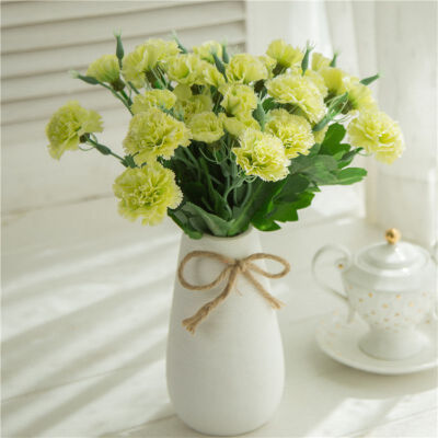 1pc 10 Heads Fresh Artificial Flower Carnation Silk Flower Fake Plant For Mothers Day Home Wedding Party Decoration Accessories
1pc 10 Heads Fresh Artificial Flower Carnation Silk Flower Fake Plant For Mothers Day Home Wedding Party Decoration Accessories