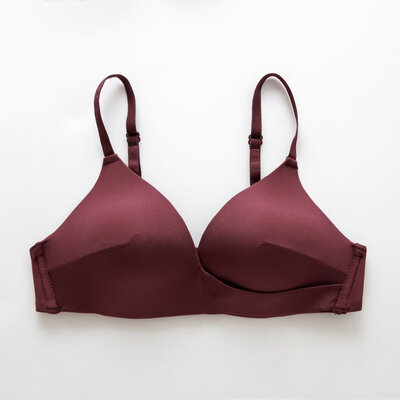 Fashion Sexy Bra Thin Smooth Bras For Women Solid Triangle Cup Lingerie Seamless Wireless Push Up Bra Beautiful Back Bralette
Fashion Sexy Bra Thin Smooth Bras For Women Solid Triangle Cup Lingerie Seamless Wireless Push Up Bra Beautiful Back Bralette