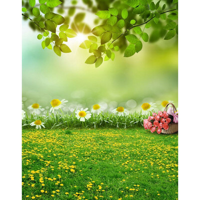 Green fog Flowers Photo Backdrop 57FT Vinyl Fabric Cloth Digital Printing Photo Background s-2194
Green fog Flowers Photo Backdrop 57FT Vinyl Fabric Cloth Digital Printing Photo Background s-2194
