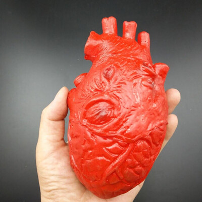 Happy Halloween Tricky Horror Latex Prop Broken Limbs Halloween Cosplay Decoration Scary Fake Hand Finger Leg Foot Brain Heart
Happy Halloween Tricky Horror Latex Prop Broken Limbs Halloween Cosplay Decoration Scary Fake Hand Finger Leg Foot Brain Heart