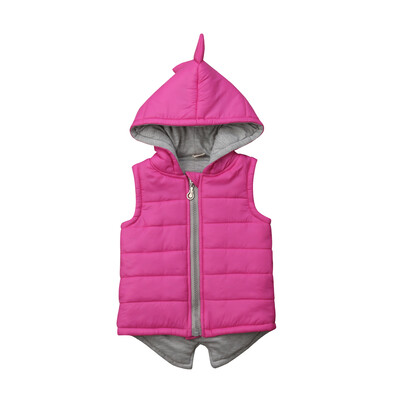 Winter Infant Kids Baby Girls Dinosaur Vest Zip Hooded Jacket Coat Tops Outerwear Pink Hoodies 6M-7T
Winter Infant Kids Baby Girls Dinosaur Vest Zip Hooded Jacket Coat Tops Outerwear Pink Hoodies 6M-7T
