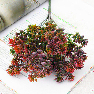 Plastic Succulent Plants Artificial Fall Leaves Flowers DIY Suculentas Artificiais Wedding Decoration Plant Fake Flowers Wreath
Plastic Succulent Plants Artificial Fall Leaves Flowers DIY Suculentas Artificiais Wedding Decoration Plant Fake Flowers Wreath