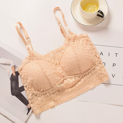 Sexy Bra Women Floral Lace Bralette Solid Color Lingerie Underwear Wireless Padded Seamless Bra Padded Bras for Women
Sexy Bra Women Floral Lace Bralette Solid Color Lingerie Underwear Wireless Padded Seamless Bra Padded Bras for Women