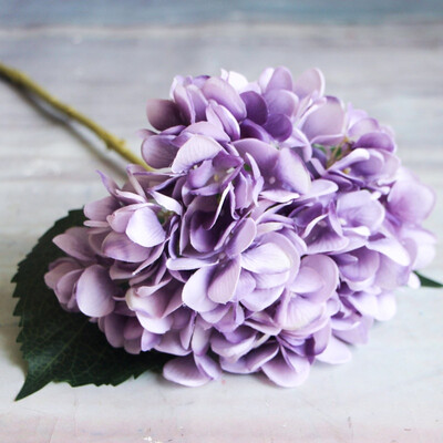 Simulation of a single French Hydrangea Single Cloth Plants Artificial Flower for wedding
Simulation of a single French Hydrangea Single Cloth Plants Artificial Flower for wedding