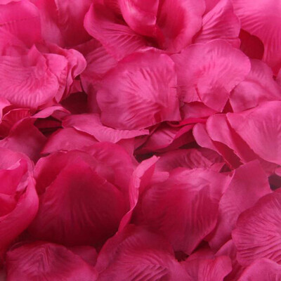 Gobestart 2000pcs Multicolor Silk Rose Artificial Petals Wedding Party Flower Favors Decor
Gobestart 2000pcs Multicolor Silk Rose Artificial Petals Wedding Party Flower Favors Decor