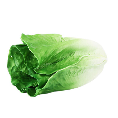 Simulation Vegetable Model Decoration For Home Hotel Restaurant Decor Artificial Decorations Fake Food
Simulation Vegetable Model Decoration For Home Hotel Restaurant Decor Artificial Decorations Fake Food