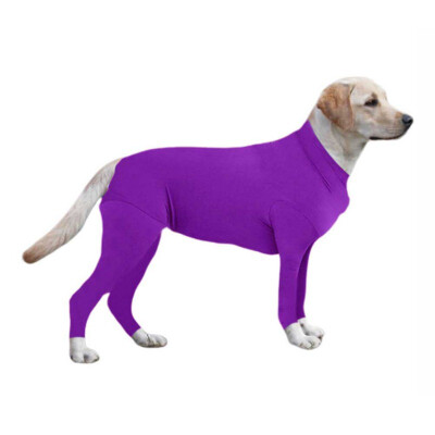 Post Operative Protection Long Sleeves Bodysuit Jumpsuit For Dogs E Collar Alternative For Recovery
Post Operative Protection Long Sleeves Bodysuit Jumpsuit For Dogs E Collar Alternative For Recovery