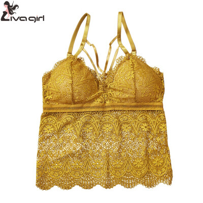 Camisole Bra Women Hollow Out Plus Size Wire Free Sexy Lace Bottoming Underwear Solid Color Bra Lingerie Camisole feminino
Camisole Bra Women Hollow Out Plus Size Wire Free Sexy Lace Bottoming Underwear Solid Color Bra Lingerie Camisole feminino