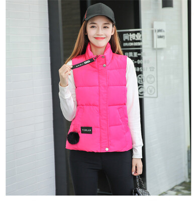 2017 autumn and winter new cotton vest Korean version of the short section of the collar down feather cotton machetes student vest
2017 autumn and winter new cotton vest Korean version of the short section of the collar down feather cotton machetes student vest