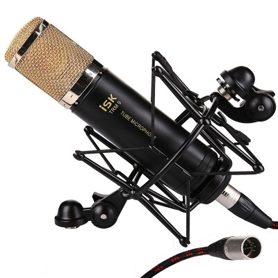 ISK RM9 professional recording microphone silver double large diaphragm condenser microphone
ISK RM9 professional recording microphone silver double large diaphragm condenser microphone