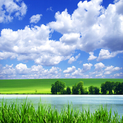 Modern Home Decor 3D Photo Wallpaper Wall Mural Fresh Nature Blue Sky And White Clouds Wall Painting For Living Room TV Backdrop
Modern Home Decor 3D Photo Wallpaper Wall Mural Fresh Nature Blue Sky And White Clouds Wall Painting For Living Room TV Backdrop