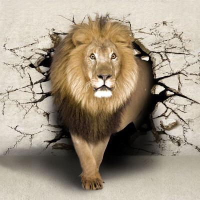 Custom 3D photo wallpaper 3D lion large living room bedroom mural wallpaper personality KTV Bar Cafe wallpaper
Custom 3D photo wallpaper 3D lion large living room bedroom mural wallpaper personality KTV Bar Cafe wallpaper