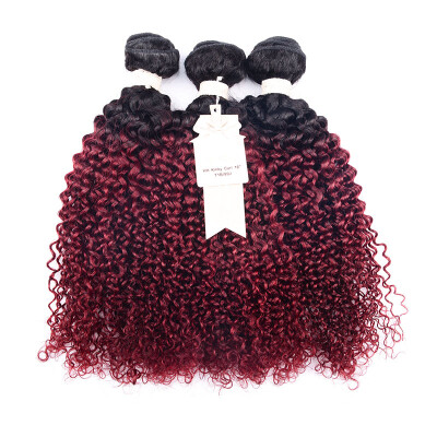 LADYSTAR Kinkys Curly Hair 3 Bundles Brazilian Virgin Unprocessed Natural Color Hair Extensions Mixed Length
LADYSTAR Kinkys Curly Hair 3 Bundles Brazilian Virgin Unprocessed Natural Color Hair Extensions Mixed Length