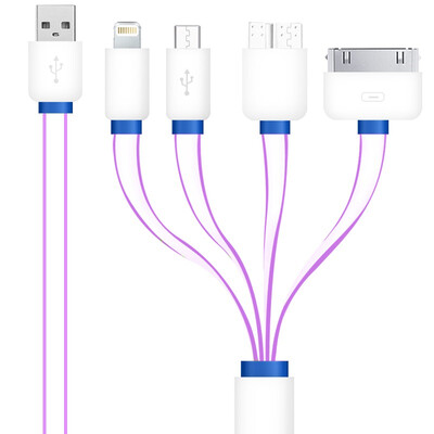 Muyang (MuYang) MY-L6s Apple Andrews charge adapter multi-purpose connector all-in / one drag four anti-wound 1 meter white blue
Muyang (MuYang) MY-L6s Apple Andrews charge adapter multi-purpose connector all-in / one drag four anti-wound 1 meter white blue