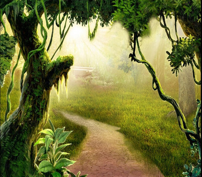 Custom photo wallpaper 3D HD deep forest TV background wallpaper sofa wall living room bedroom wallpaper mural
Custom photo wallpaper 3D HD deep forest TV background wallpaper sofa wall living room bedroom wallpaper mural