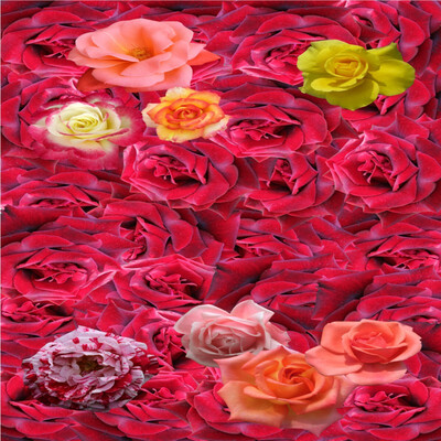 Free Shipping Flowers floor wallpaper high quality picture floor painting bathroom waterproof wear bedroom floor mural 250cmx200cm
Free Shipping Flowers floor wallpaper high quality picture floor painting bathroom waterproof wear bedroom floor mural 250cmx200cm