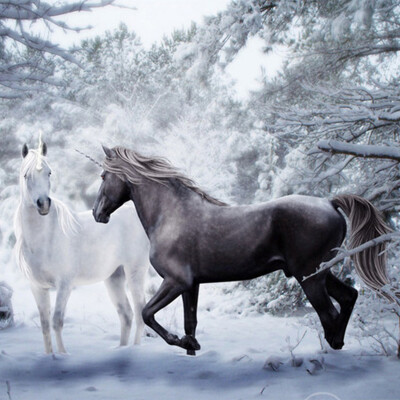 Custom Mural Wallpaper 3D Black And White Horse Snow Landscape Photo Wall Painting Mural Living Room Backdrop Wall Decor Fresco
Custom Mural Wallpaper 3D Black And White Horse Snow Landscape Photo Wall Painting Mural Living Room Backdrop Wall Decor Fresco