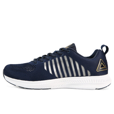 PEAK mens running shoes lightweight breathable professional sports shoes DH720861 Navy 42
PEAK mens running shoes lightweight breathable professional sports shoes DH720861 Navy 42
