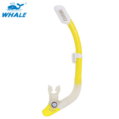 Whale Brand New outdoor Swimming Diving Breathing Tube Snorkeling silicone snorkel with high quality
Whale Brand New outdoor Swimming Diving Breathing Tube Snorkeling silicone snorkel with high quality