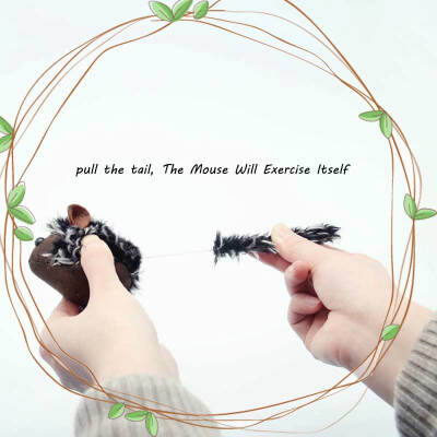 Cat Chew Toy RaccoonBeaverMachine Mouse Durable Squeaky Catnip Plush Nontoxic Toy
Cat Chew Toy RaccoonBeaverMachine Mouse Durable Squeaky Catnip Plush Nontoxic Toy