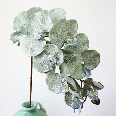 2pcs 11Heads large Orchid Artificial Flowers Moth Butterfly Orchids Home Wedding Decoration fleurs artificielles deco anniversaire
2pcs 11Heads large Orchid Artificial Flowers Moth Butterfly Orchids Home Wedding Decoration fleurs artificielles deco anniversaire