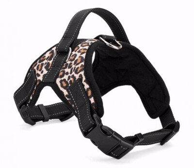 Cntomlv Pet Products for Large Dog Harness k9 Glowing Led Collar Puppy Lead Pets Vest Dog Leads Accessories Chihuahua
Cntomlv Pet Products for Large Dog Harness k9 Glowing Led Collar Puppy Lead Pets Vest Dog Leads Accessories Chihuahua