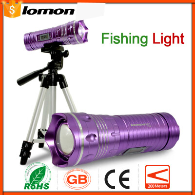 Professional LED Zoom Fishing Light 2 Color Blue Purple Triangle bracket Set LED Flashlight Waterproof Torchlight
Professional LED Zoom Fishing Light 2 Color Blue Purple Triangle bracket Set LED Flashlight Waterproof Torchlight