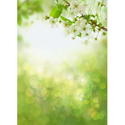 Light Green Fog Photo Backdrop 57FT Vinyl Fabric Cloth Digital Printing Photo Background s-635
Light Green Fog Photo Backdrop 57FT Vinyl Fabric Cloth Digital Printing Photo Background s-635