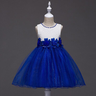 Summer Style Flower Girl Dress Childrens Lace Princess Dress Mesh Dress Sleeveless Flower Party Ball Gown
Summer Style Flower Girl Dress Childrens Lace Princess Dress Mesh Dress Sleeveless Flower Party Ball Gown