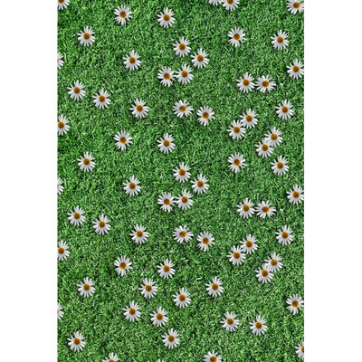 Sun Flowers Photo Backdrop 57FT Vinyl Fabric Cloth Digital Printing Photo Background f-2134
Sun Flowers Photo Backdrop 57FT Vinyl Fabric Cloth Digital Printing Photo Background f-2134