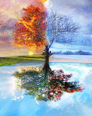 Frameless Trees Oil Painting for Home Decoration Diy Painting by Numbers Kit for Adults - 4 Season Trees
Frameless Trees Oil Painting for Home Decoration Diy Painting by Numbers Kit for Adults - 4 Season Trees