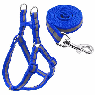 Cntomlv 6 Colors Nylon Reflective Dog Harness Leash Lead Set For Small Medium Dogs Puppy Chihuahua Yorkie S
Cntomlv 6 Colors Nylon Reflective Dog Harness Leash Lead Set For Small Medium Dogs Puppy Chihuahua Yorkie S
