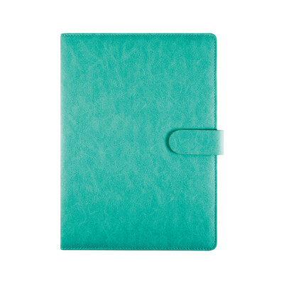 Jinlongxing Glosen notebook child notebook business notebook student manuscript office meeting record book 200 page A5 magnetic buckle book 8253 blue
Jinlongxing Glosen notebook child notebook business notebook student manuscript office meeting record book 200 page A5 magnetic buckle book 8253 blue