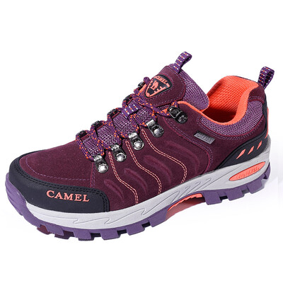 Camel outdoor CAMEL outdoor hiking shoes couple non-slip shock absorber shoes wear low walking shoes A833036133 purple black cold orange 40
Camel outdoor CAMEL outdoor hiking shoes couple non-slip shock absorber shoes wear low walking shoes A833036133 purple black cold orange 40