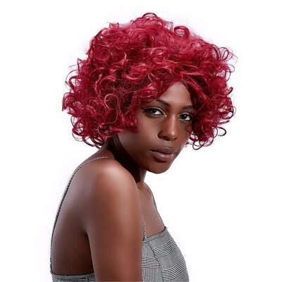 15 Kanekalon Wigs For Black Women Curly Medium Wigs Synthetic Hair Burgundy Cosplay Wig Hollywood HPHR-018
15 Kanekalon Wigs For Black Women Curly Medium Wigs Synthetic Hair Burgundy Cosplay Wig Hollywood HPHR-018