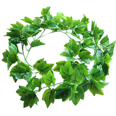 Luxchic simulation grape leaf vine decoration green leaf cane vine simulation plant leaves rattan cat entertainment
Luxchic simulation grape leaf vine decoration green leaf cane vine simulation plant leaves rattan cat entertainment