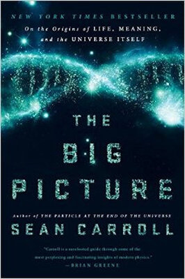 The Big Picture On the Origins of Life Meaning 
The Big Picture On the Origins of Life Meaning