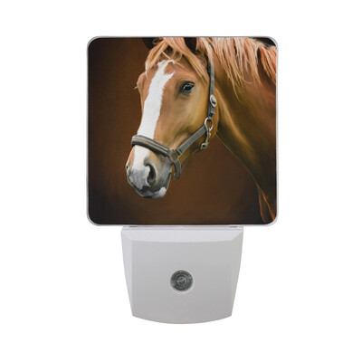 ALAZA LED Night Light With Smart Dusk To Dawn SensorWhite Crazy Horse Watercolor Painted Plug In Night Light
ALAZA LED Night Light With Smart Dusk To Dawn SensorWhite Crazy Horse Watercolor Painted Plug In Night Light