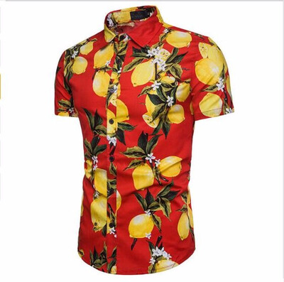 2018 Brand New Summer Holiday Mens Floral Print Shirts Tops Casual Short Sleeve Hawaiian Style Beachwear Shirt
2018 Brand New Summer Holiday Mens Floral Print Shirts Tops Casual Short Sleeve Hawaiian Style Beachwear Shirt