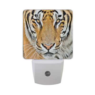 ALAZA LED Night Light With Smart Dusk To Dawn SensorTiger Face Vintage Stylish Plug In Night Light
ALAZA LED Night Light With Smart Dusk To Dawn SensorTiger Face Vintage Stylish Plug In Night Light