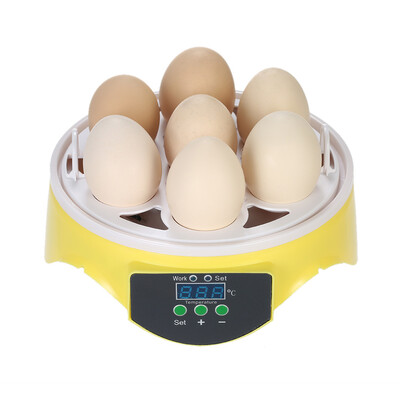 7 Eggs Mini Digital Egg Incubator Hatcher Transparent Eggs Hatching Machine Automatic Temperature Control for Chicken Duck Bird Eg
7 Eggs Mini Digital Egg Incubator Hatcher Transparent Eggs Hatching Machine Automatic Temperature Control for Chicken Duck Bird Eg