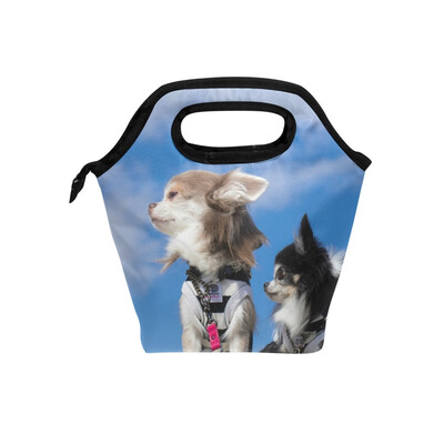 Lunch Bag Cats And Blue Sky Tote Travel Picnic Insulated Handbags Portable Zipper Lunch Bag Box