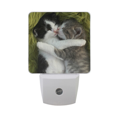 ALAZA LED Night Light With Smart Dusk To Dawn SensorWhite And Orange Newborn Kitten1 Plug In Night Light
ALAZA LED Night Light With Smart Dusk To Dawn SensorWhite And Orange Newborn Kitten1 Plug In Night Light