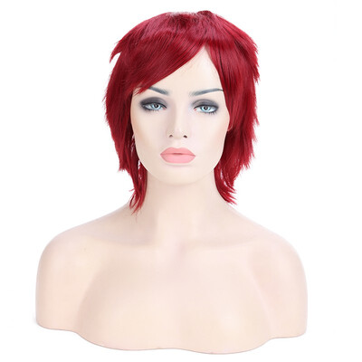 Halloween Unisex Anime Fashion Short Wig Cosplay Party Straight Hair Cosplay Full Wigs
Halloween Unisex Anime Fashion Short Wig Cosplay Party Straight Hair Cosplay Full Wigs