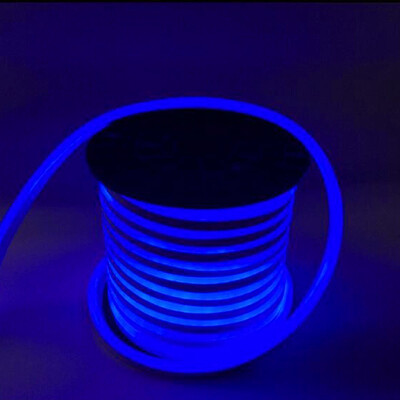 1PCS YWXLight 5M LED Strip Flexible Neon Lights Waterproof LED Light Lamp AC 220 - 240V
1PCS YWXLight 5M LED Strip Flexible Neon Lights Waterproof LED Light Lamp AC 220 - 240V