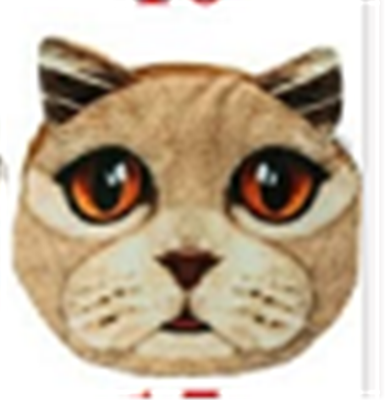 Pouch Bag New Cute Women Shoulder Bag Cat Face Cartoon Print Zipper Closure Messenger Clutch Coin Purse Bag Phone Bag B7W4F4L2
Pouch Bag New Cute Women Shoulder Bag Cat Face Cartoon Print Zipper Closure Messenger Clutch Coin Purse Bag Phone Bag B7W4F4L2